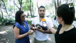 Trepa Tv El Arca De Noé