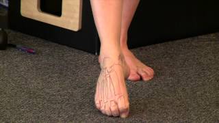 Melanie Byford-Young Foot Anatomy & Biomechanics