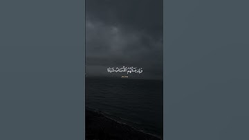 سورة الحج #علي_جابر_رحمه_الله