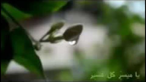 دعاء يوم الجمعه!! جمعه مباركه للجميع صلو ع النبي ولاتنسون سورة الكهف نور مابين الجمعتين❣️😊