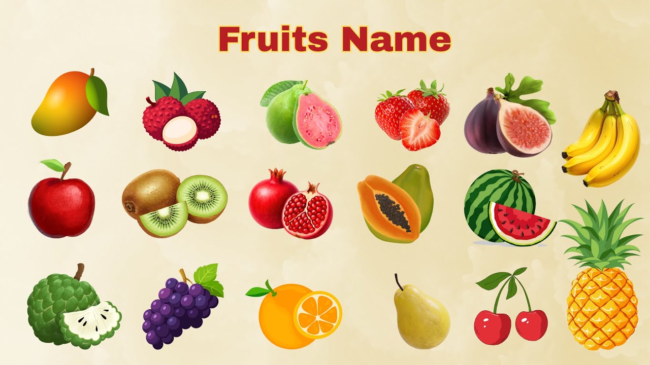 Fruits Names/Learn fruits Names in English