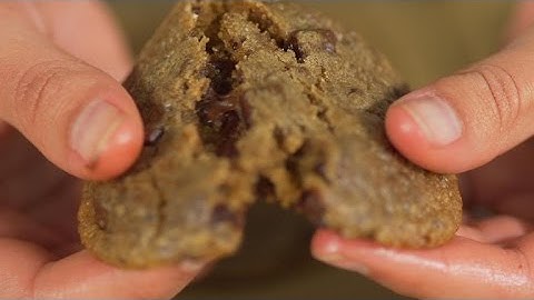 Convection vs. conventional ovens explained