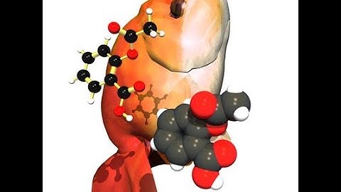 Usando o OpenBabel para conversão de estruturas químicas