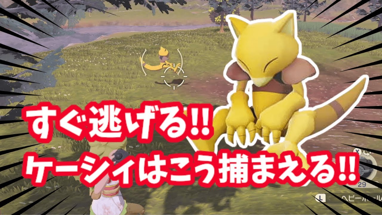 ポケモンアルセウス すぐ逃げる ケーシィはこう捕まえる Youtube