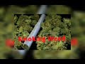 Smoking weed  balzac mc prod rc msic x chowder beats