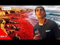 Día 17-La playa roja