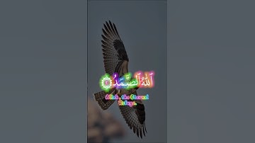 تلاوة عطرة لسورة الإخلاص #قران_كريم #سورة_الإخلاص #تلاوة_خاشعة