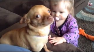 10 month old learns how to say Nala (the Chihuahua)