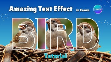 How to Create a Transparent Text Effect in Canva | Easy Canva Tutorial