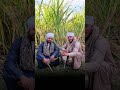 العين تكره الاحسن منها ترند 