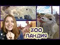 Зооландия |Zooландия| Контактный зоопарк в Московской области | Истра