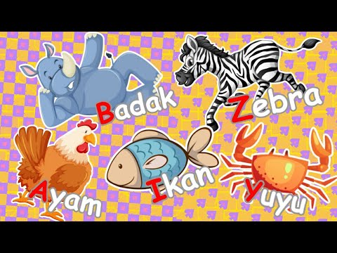 Abcd nama  hewan  dari A sampai  Z  YouTube