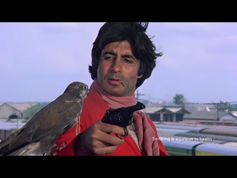 Coolie 1983   Full Bollywood Movie  Amitabh Bachchan Rishi Kapoor  Blockbuster Hindi Movie