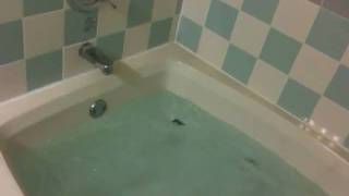 Quality Suites Hotel