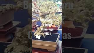 Pameran Cimaragas 2023