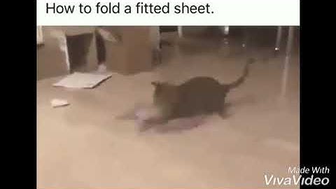 How to fold a bedsheet/fitted sheet by Mrs Cat