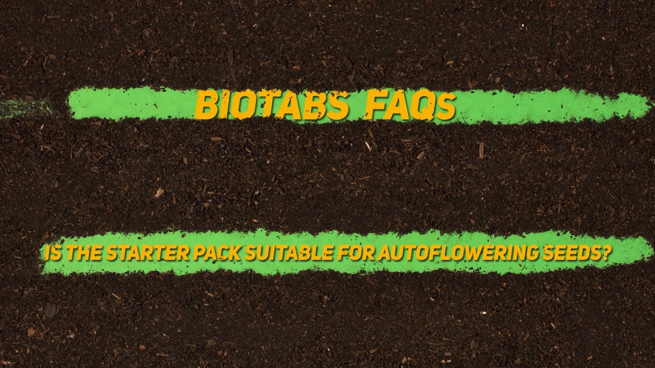 Is the Starter Pack suitable for auto-flowering seeds?  | BioTabs FAQs