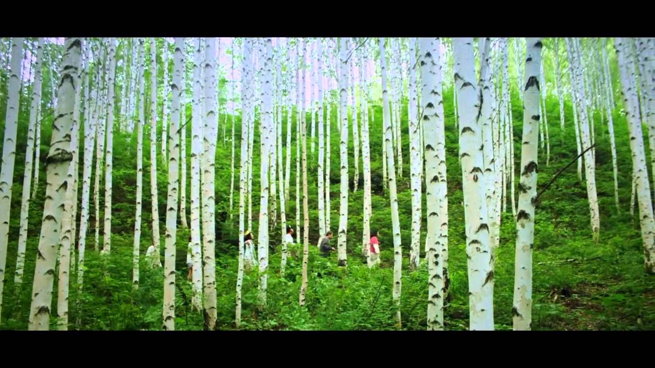 Shoot Me in the Heart trailer