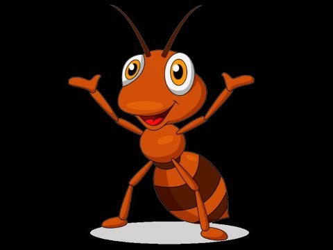 Муравей - YouTube