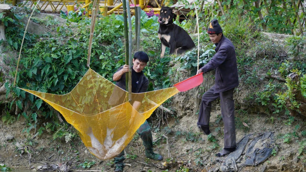 Генеральный директор Триу Дан и Мики Ки с волнением приветствовали первого гостя, посетившего ферму.