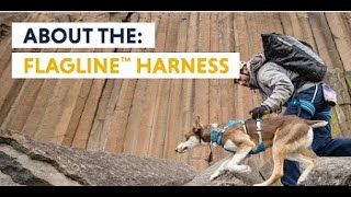 Ruffwear - Flagline Harness