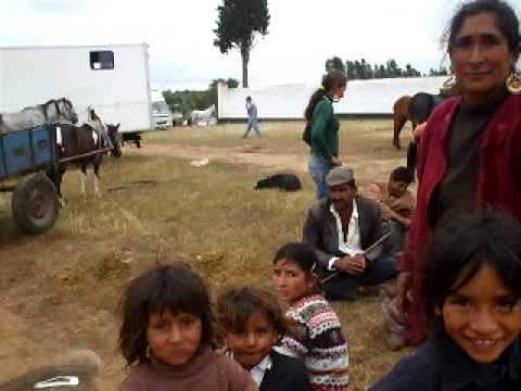 Ciganos feira de Gado em Ourique