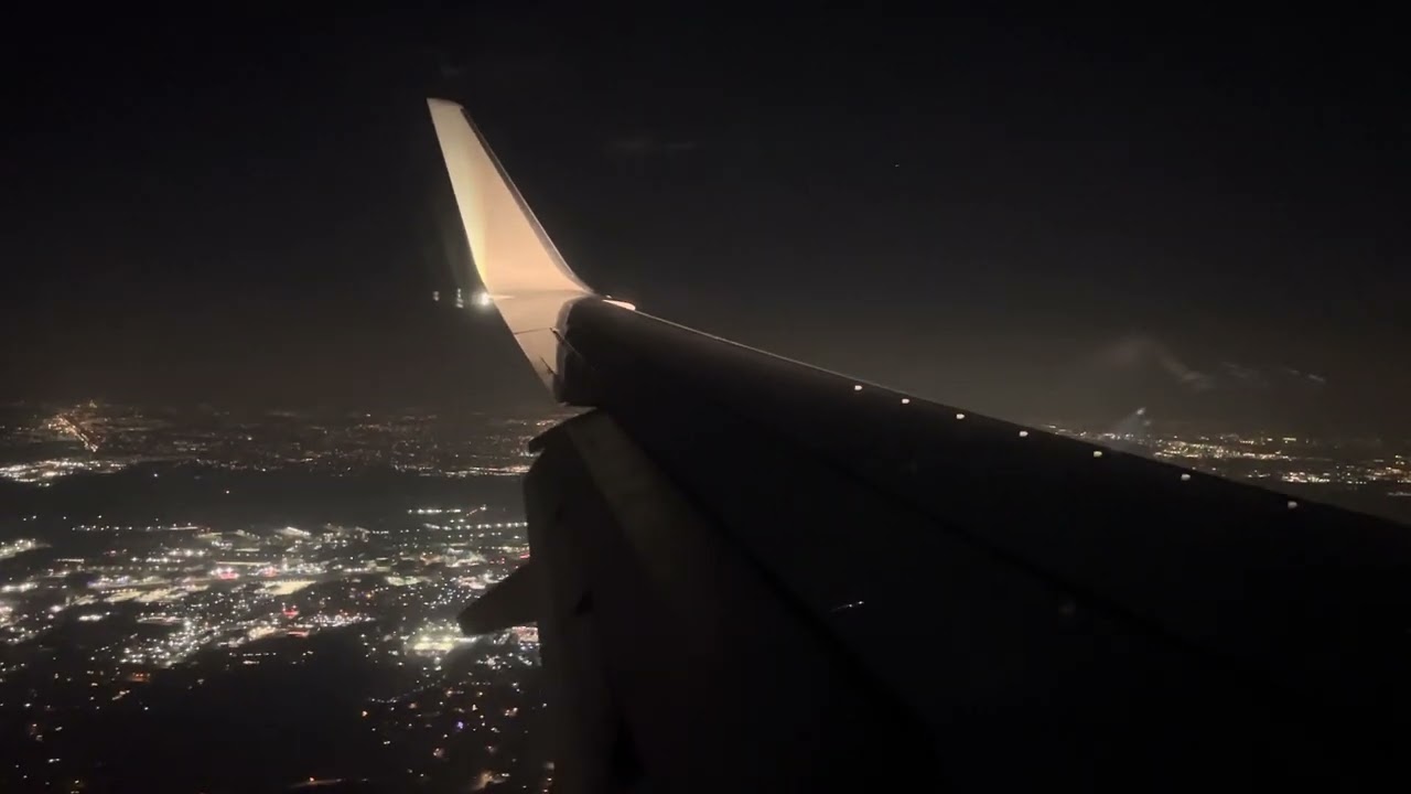 American Airlines 737-823 landing at Dallas Fort Worth[N314PD]