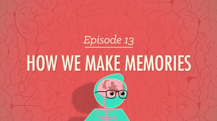 How We Make Memories: Crash Course Psychology #13 - DayDayNews