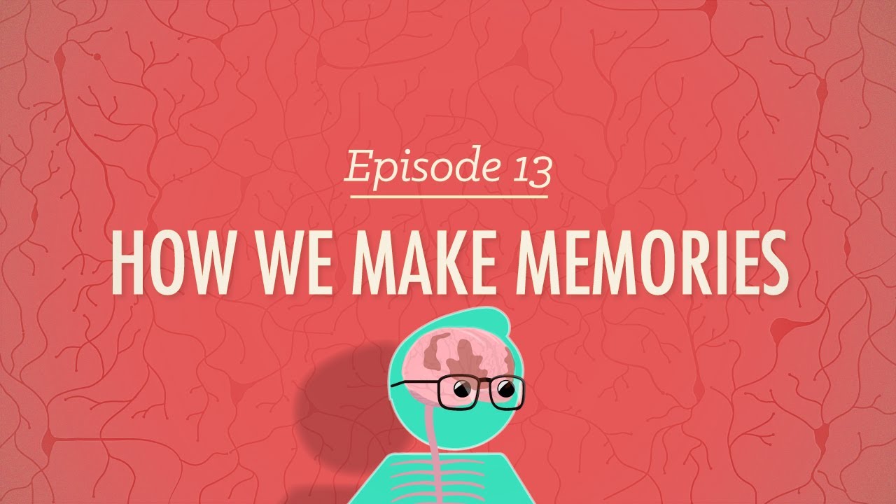 ⁣How We Make Memories: Crash Course Psychology #13