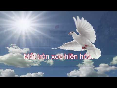 #2023 Học hát – HÒA BÌNH CHO BÉ – Nhạc và lời: Huy Trân