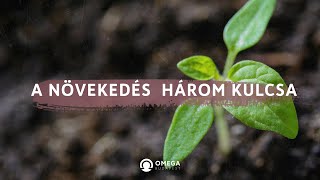 A növekedés három kulcsa | Istentisztelet - Omega Budapest