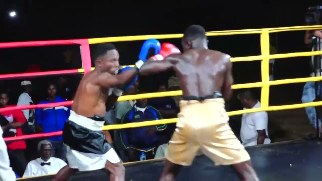 SHARIF OMARY. VS. RAPHAEL FLAVIAN