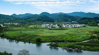 China to continue efforts to improve environment: Premier Li