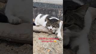 Dur Geçme Bu Gözler Sana Bir Şey Söylüyor