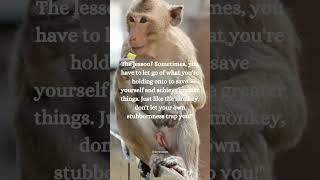 The Monkey Trap: Why Letting Go Could Be Your Most Powerful Tool