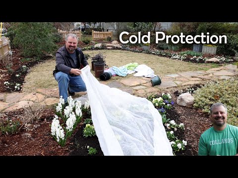 Garden Cold Protection - Protecting Plants from Frost and Freeze