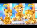 Talking Tom and Friends Funny Fails