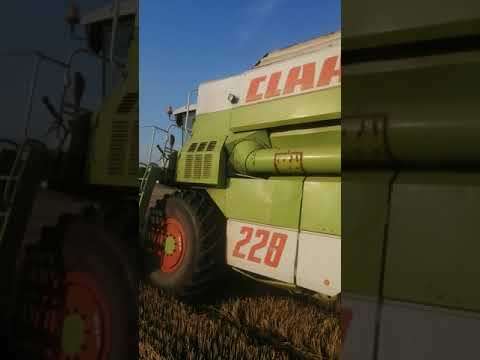 Комбайн Claas Commandor 1994 - відео 1