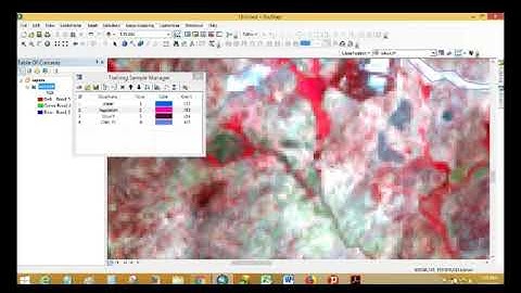 Image Classification Technique in Remote Sensing