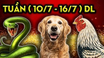 Tử Vi Tuần 10/7 - 16/7 Dương, 3 Con Giáp Đến Thời Đổi Vận, Trúng Thưởng Giàu TO.