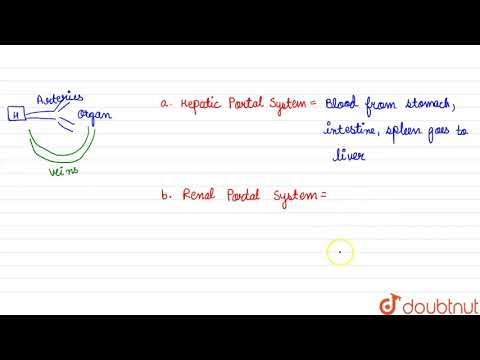 The portal system seen in all vertebrates is