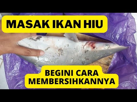 Resep Ikan Hiu