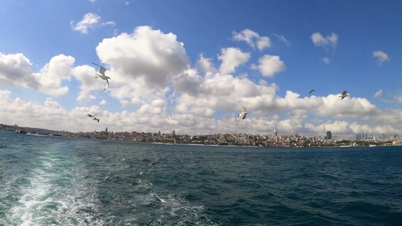 NCV (no copyright videos)