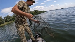 Браконьєрські раколовні доріжки в заборону 🐟 Линька рака р. Дніпро Запоріжжя серпень 2023