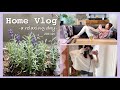 癒し🌿のんびりしたい・頑張らない日🌼そんなレディースデイ💭/Home Volg!~a relaxing day~/yurika