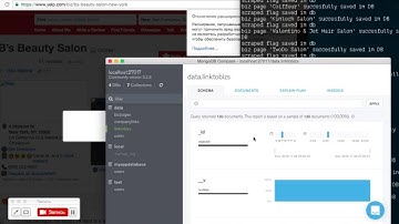 Yelp biz pages scraping
