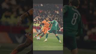 Jurrien Timber Ruled out of 2026 world cup squad.