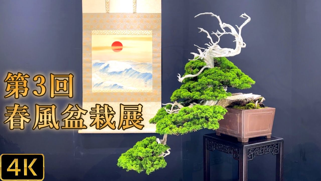 第3回 春風盆栽展 昭和記念公園　SHOWA KINEN PARK BONSAI EXHBITION 2022