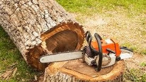 Amazing Dangerous Skills Fastest Big Tree Felling, Extreme Biggest Tree Cutting Down Machines