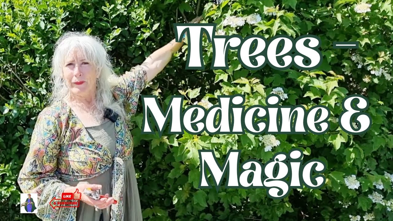 Trees - Medicine & Magic